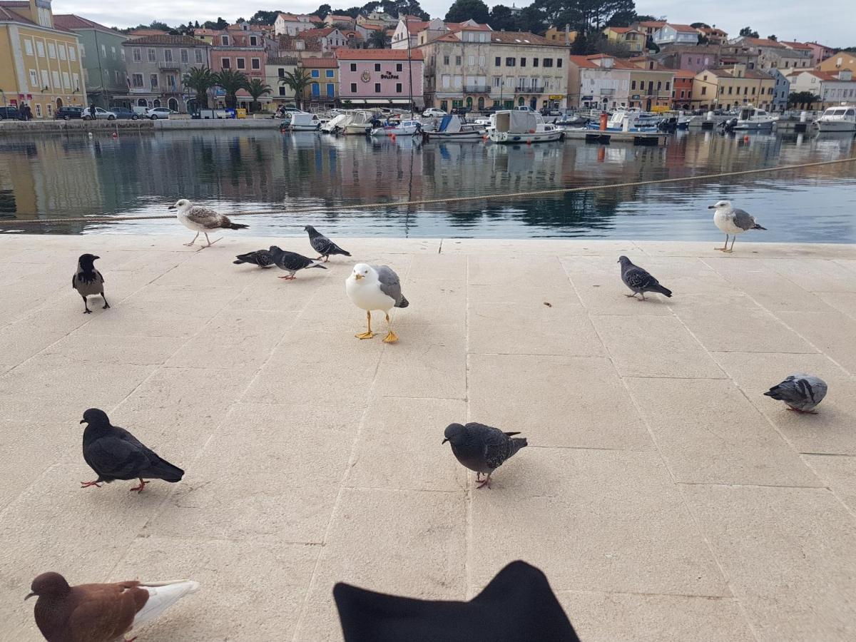 Apartments Suncica Mali Losinj Exterior photo